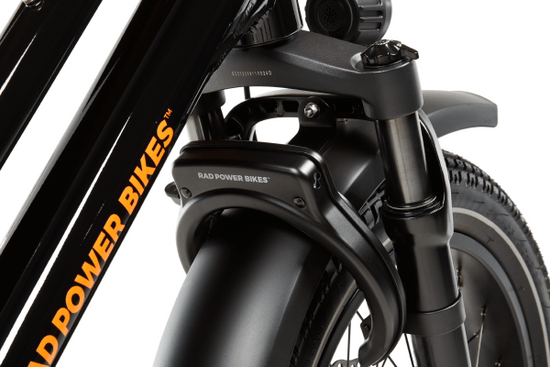 RadRunner™ 3 Plus Electric Utility Bike